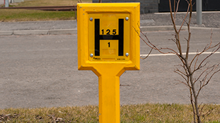 Yellow Fire Hydrant