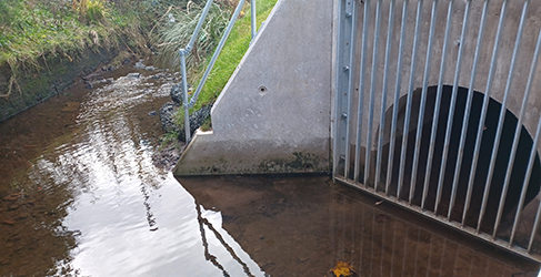 showing a newly installed Combined Sewer Overflow or CSO