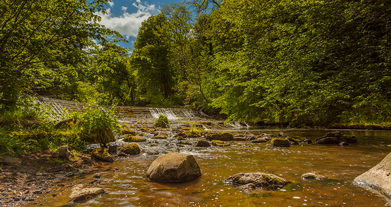 a short stretch of the Water of Leith